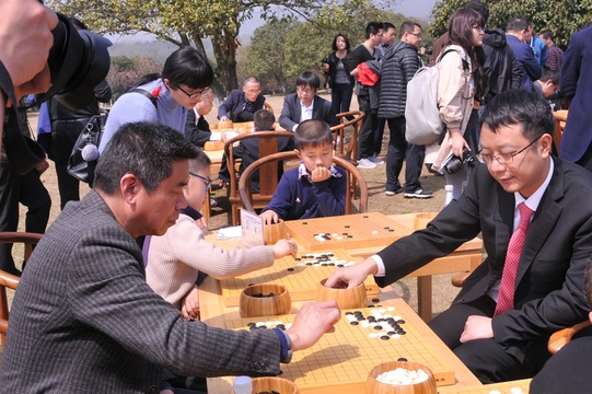 高清-开幕式后公益指导棋 棋迷积极参与(10) 第10页