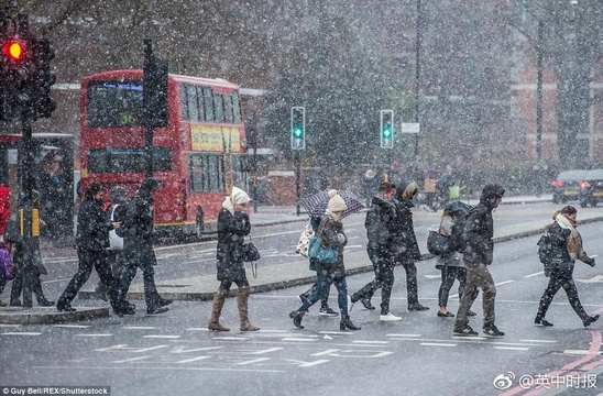 受强降雪天气影响 英气象局:“千万别出门” 第1页