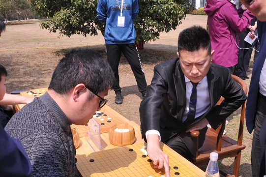 高清-开幕式后公益指导棋 棋迷积极参与(15) 第15页