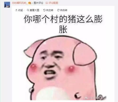 搞笑收人口号_不用谢表情动态图片