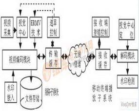 人口流动 翻译_武汉市江岸社保处流动人员专户 什么意思(2)