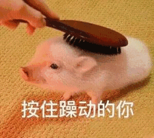 如何制作表情包表情。