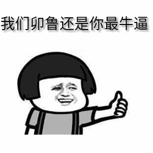 234kb,300_300表情 我们卯鲁还是你最牛逼的表情制作 蘑菇头表情包