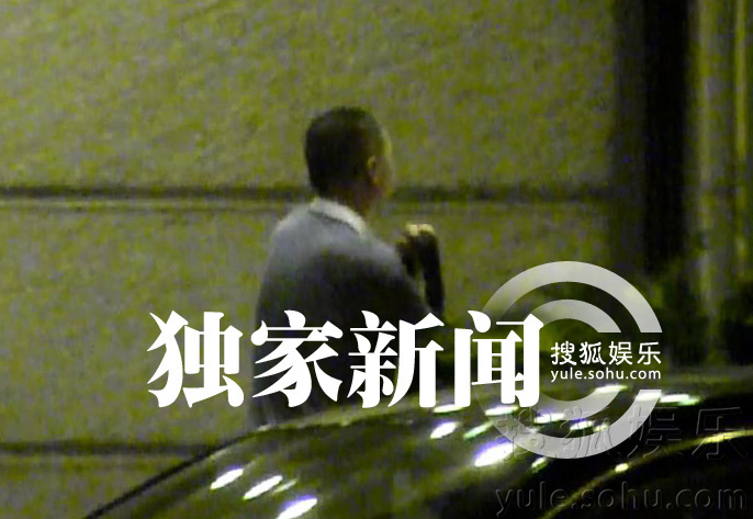 家庭年总收入_顾红兵2017年公司收入(2)