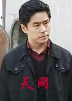 《天网 中国大陆版》全集-电视剧