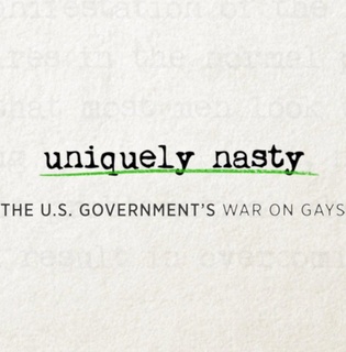 uniquely nasty: the u.s. government"s war on gays