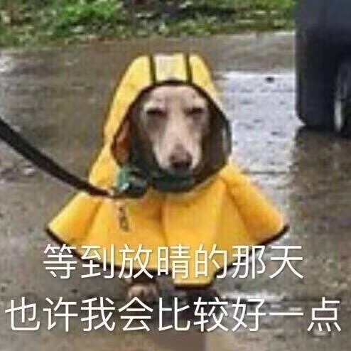 萌宠- 表情包搜索结果 - 斗图表情包在线制作