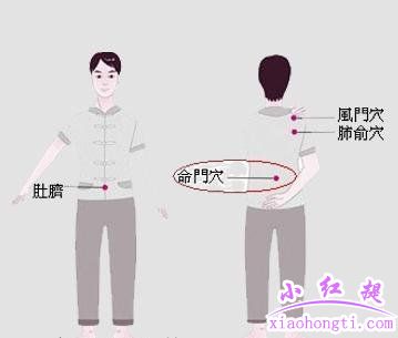 命门穴在哪
