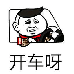 开小汽车表情包 字符表情包