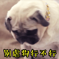 逃离虐狗现场 - 表情包搜索结果 - 表情包在线制作