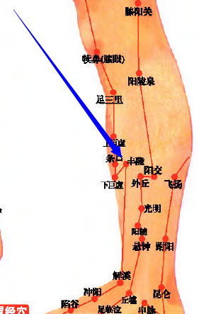 丰隆穴位位置图和作用,经验告诉你该这样