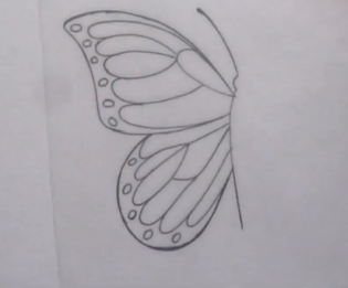 如何画一个简单生动的蝴蝶来学习吧