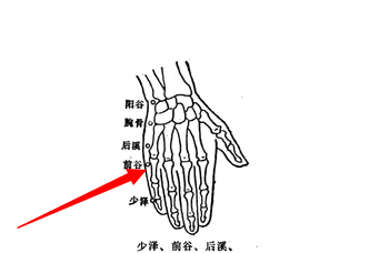 太白穴位位置图和作用,详细始末