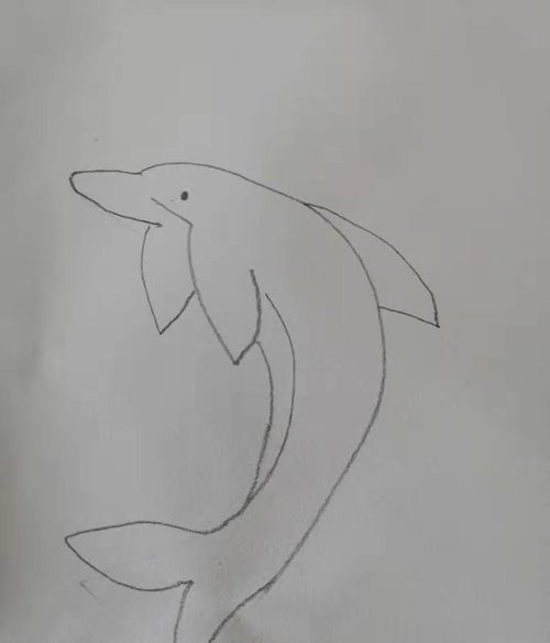 如何画海豚简笔画值得收藏