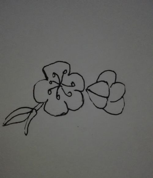 简笔画海棠花来充电吧