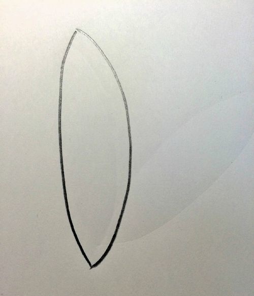教你简笔画之莲花具体内容