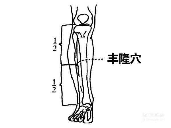 丰隆穴位位置图和作用来学习吧