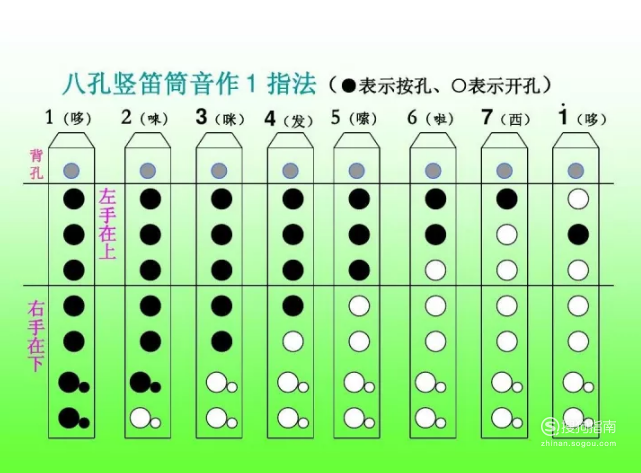 如何学竖笛(简单教程) 值得收藏