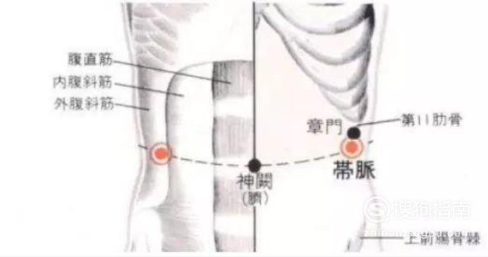 抓带脉之减肥瘦腰加调理大姨妈