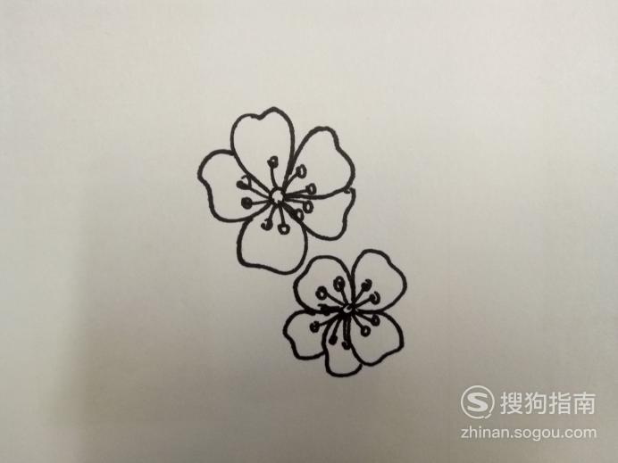 简笔画之海棠花的画法大师来详解