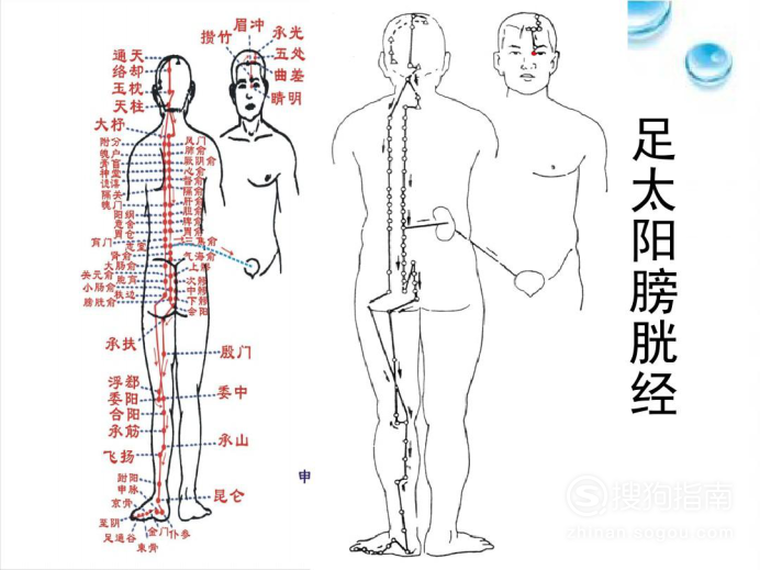 全身经络图解,原来是这样的