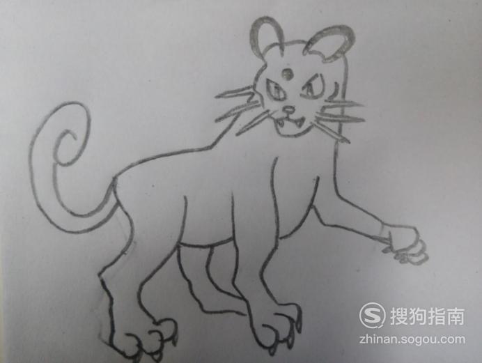 简笔画《口袋妖怪》之猫老大