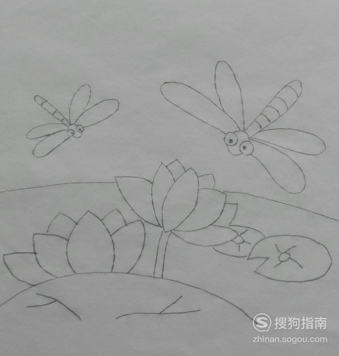 如何画荷花上的小蜻蜓的简笔画这些经验不可多得
