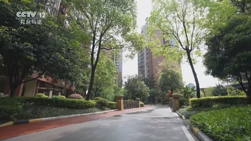 《天网》 20230925 盗仙草