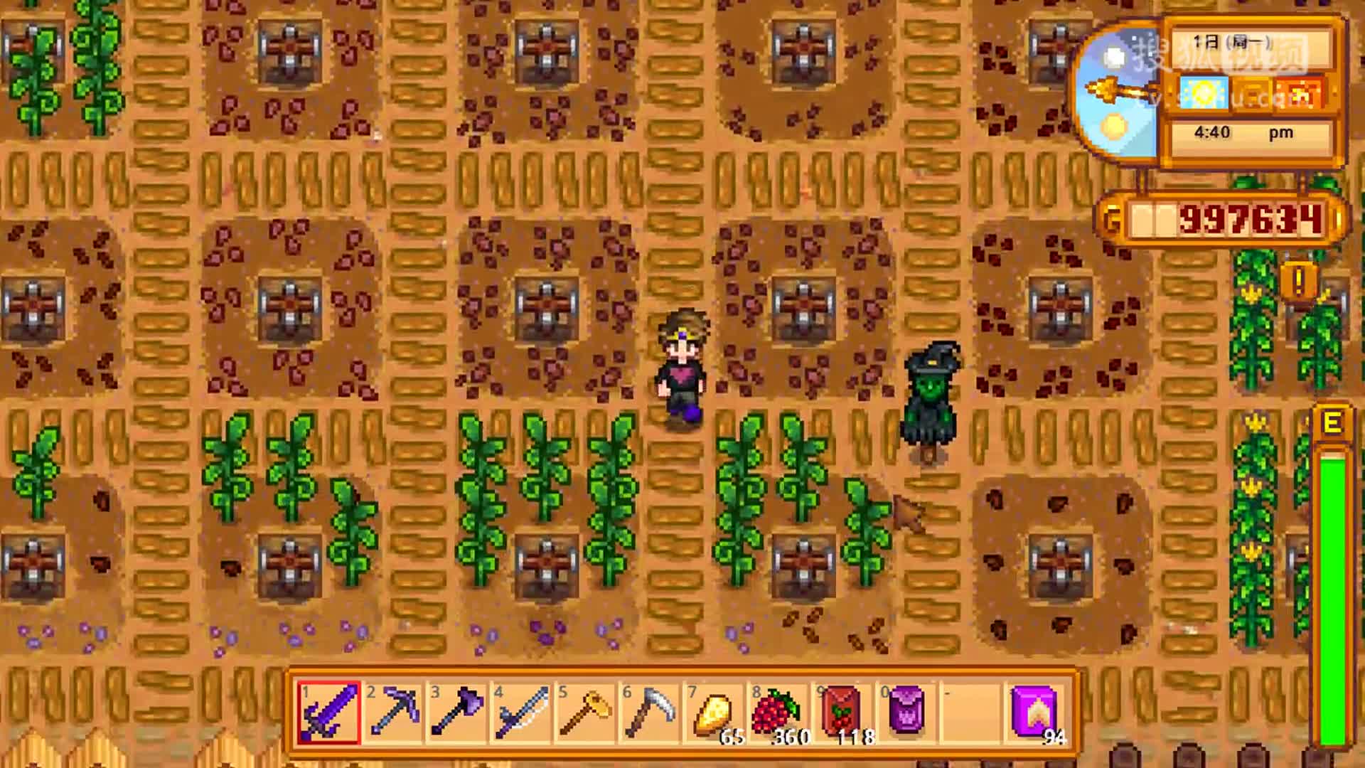 星露谷物语stardewvalley