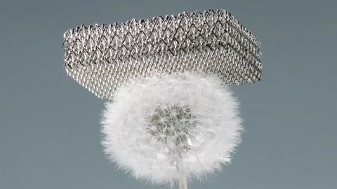世界上最轻的材料：蒲公英都压不坏，却比钢铁还要坚硬