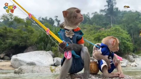 可可钓螃蟹
