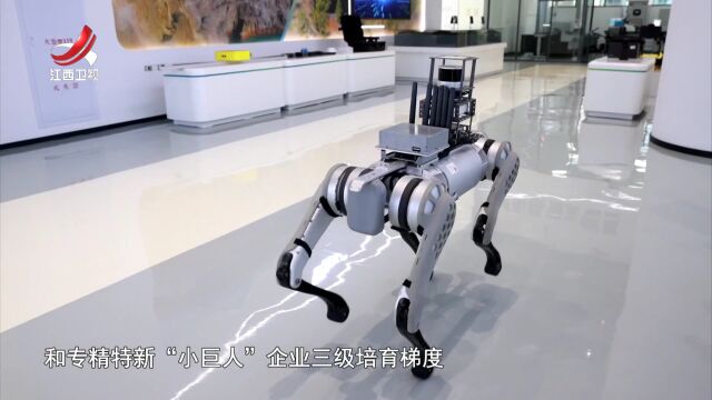 輝煌“十四五”“贛”出新精彩——“沃土”育“巨人”  中小企業活力迸發