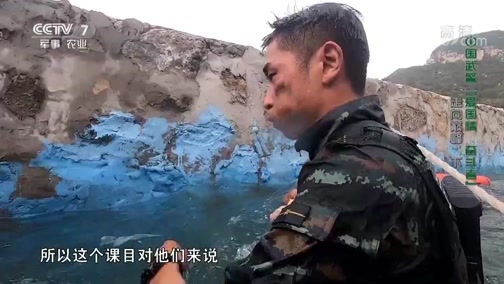 《中国武警》 20190728 中国武警“爱国情 奋斗者” 走向巅峰（下）