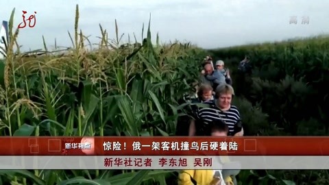 惊险!俄一架客机撞鸟后硬着陆