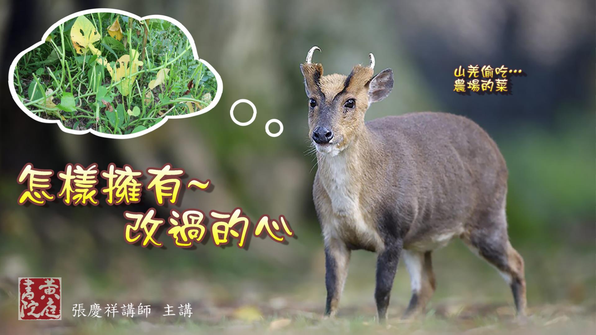 【黄庭禅】怎样拥有改过的心