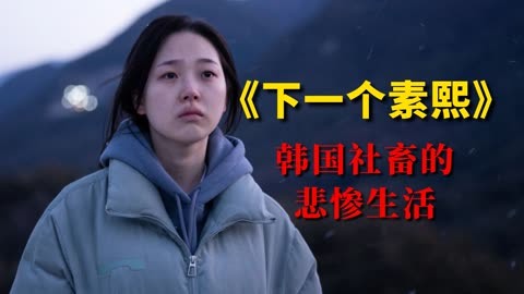 韩国底层社畜的悲惨生活