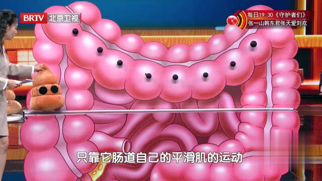 权威院长话健康——升级肠道“防火墙”