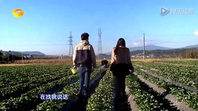 男嘉宾为争女神吃醋 配对再次被打乱