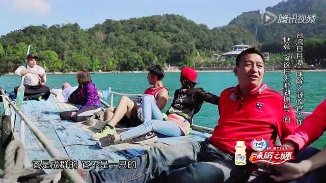惬意！夏克立 王中平游湖捕鱼晒日光浴秀恩爱