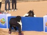 嘉佳发现王