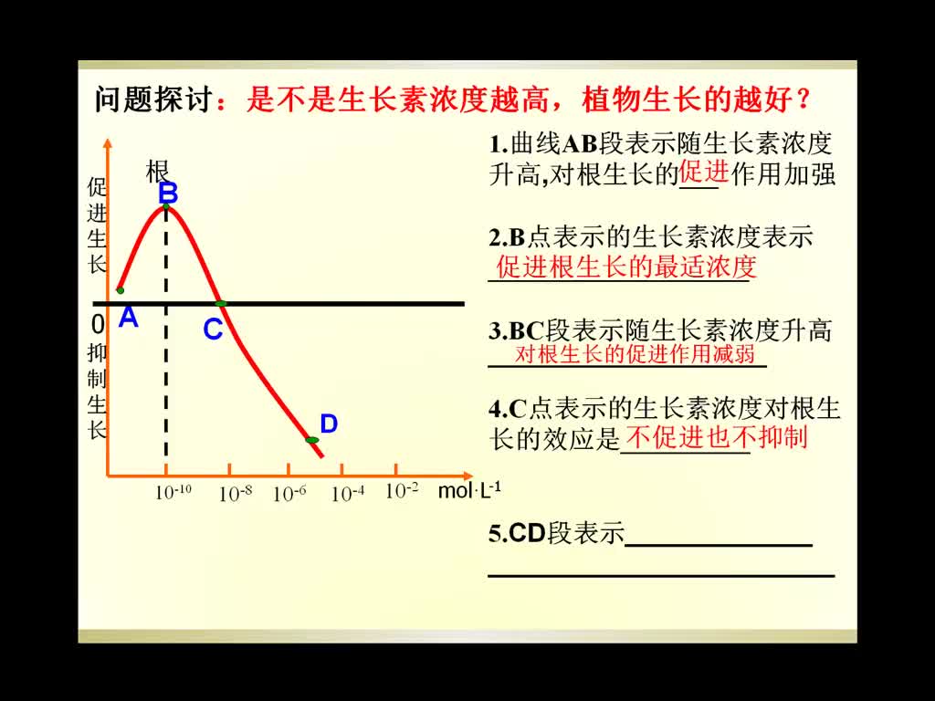 高中生物 生長素的生理作用_clip