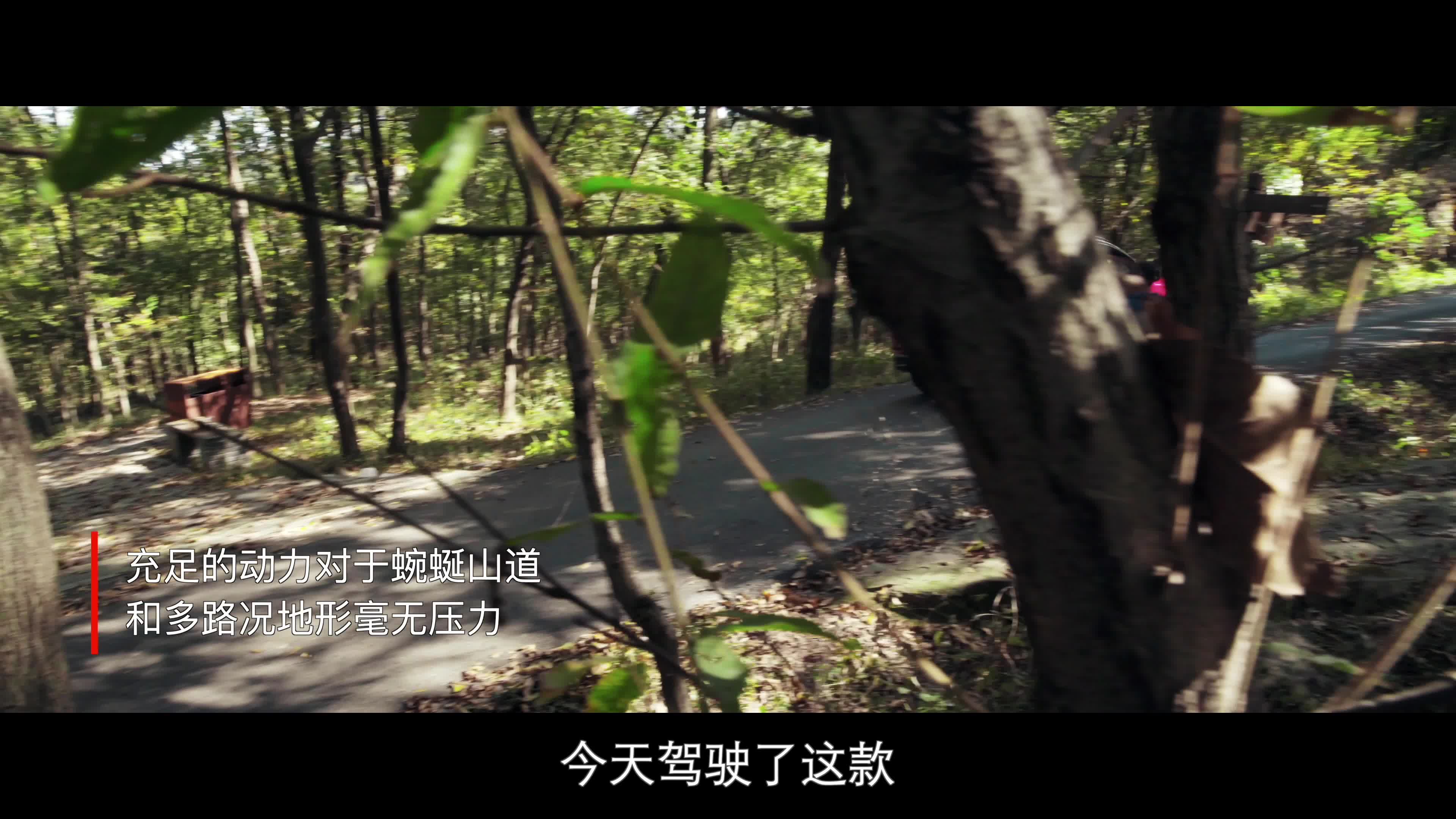 中原神行 新城智鉴