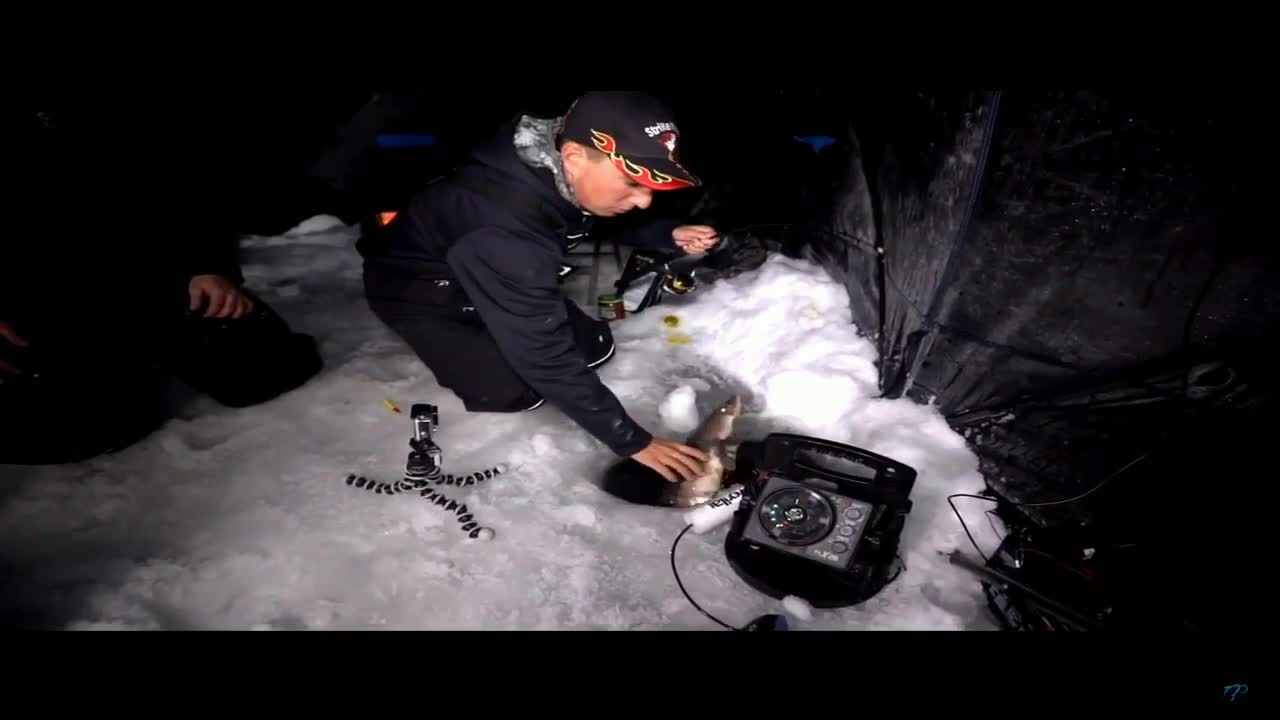 玩冰钓的常见，但是冰钓鲟鱼的你见过么？