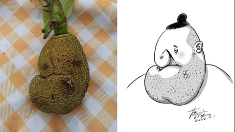 开脑洞：没长熟的菠萝蜜有妙用