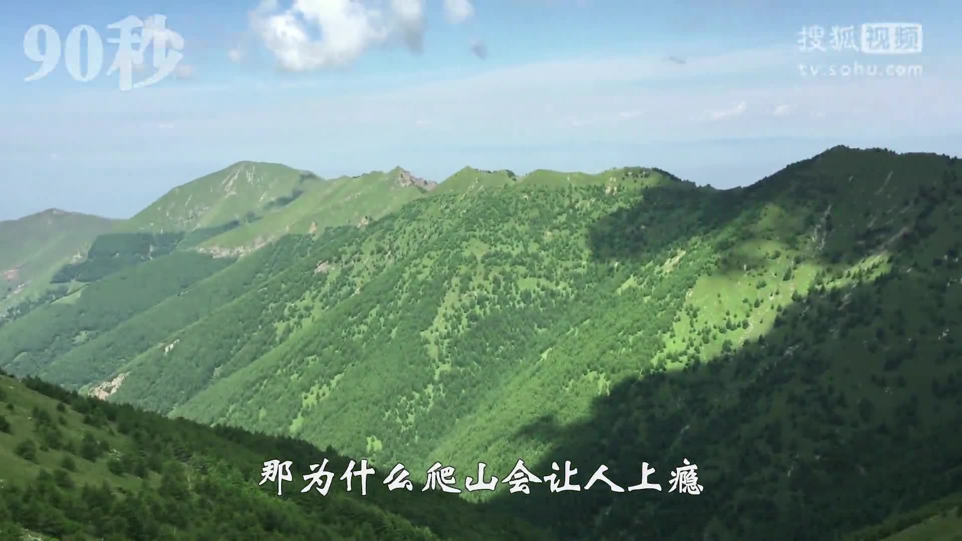 你爬山上癮了嗎？