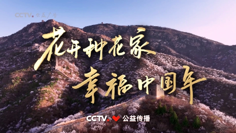 2023年春晚公益廣告《花開種花家，幸福中國年》
