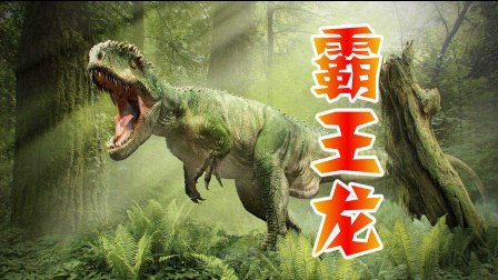霸王龙 01