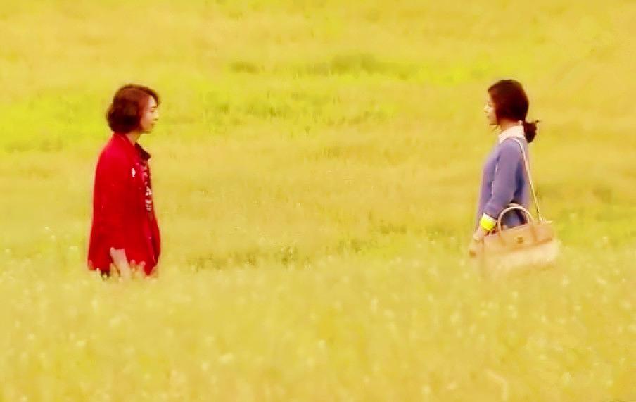 《住在清潭洞》全集-电视剧