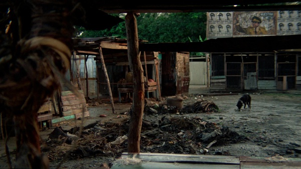 千惊万险 tv.sogou.com