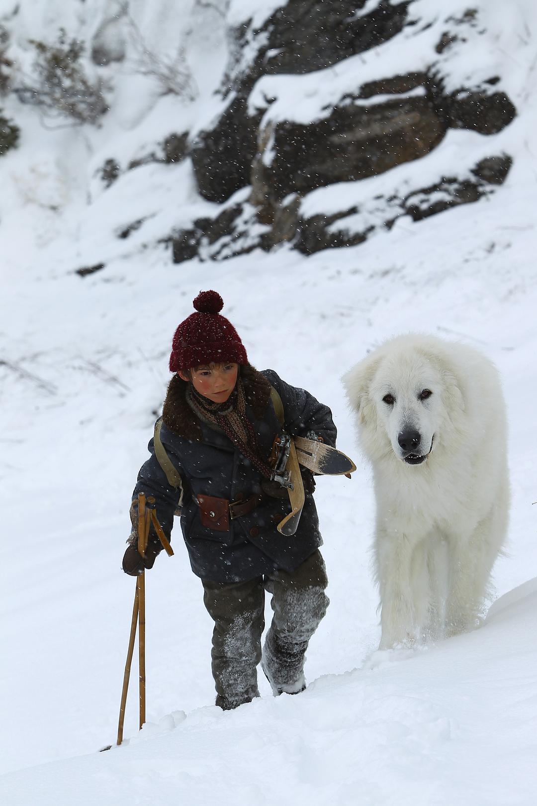 灵犬雪莉